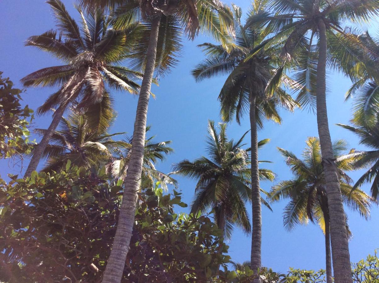 Donde Mira El Sol, Promo Primavera Hasta 50 Por Ciento (Adults Only) Acapulco Ngoại thất bức ảnh